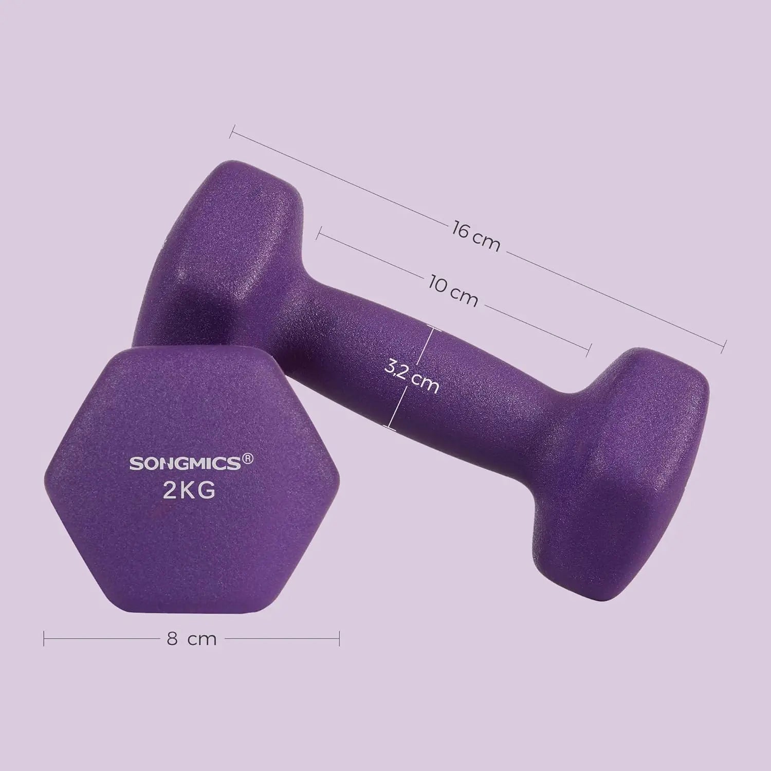 Hanteln 2x2kg Violett Gusseisen von guteszeug.ch