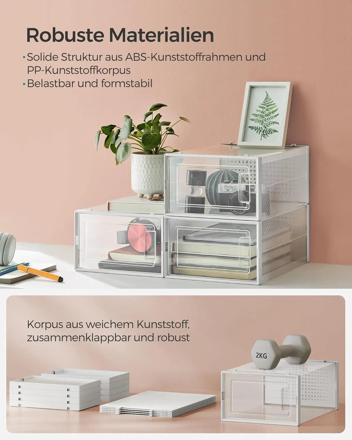 Schuhboxen stapelbar transparent Kunststoff 12er-Set von Songmics