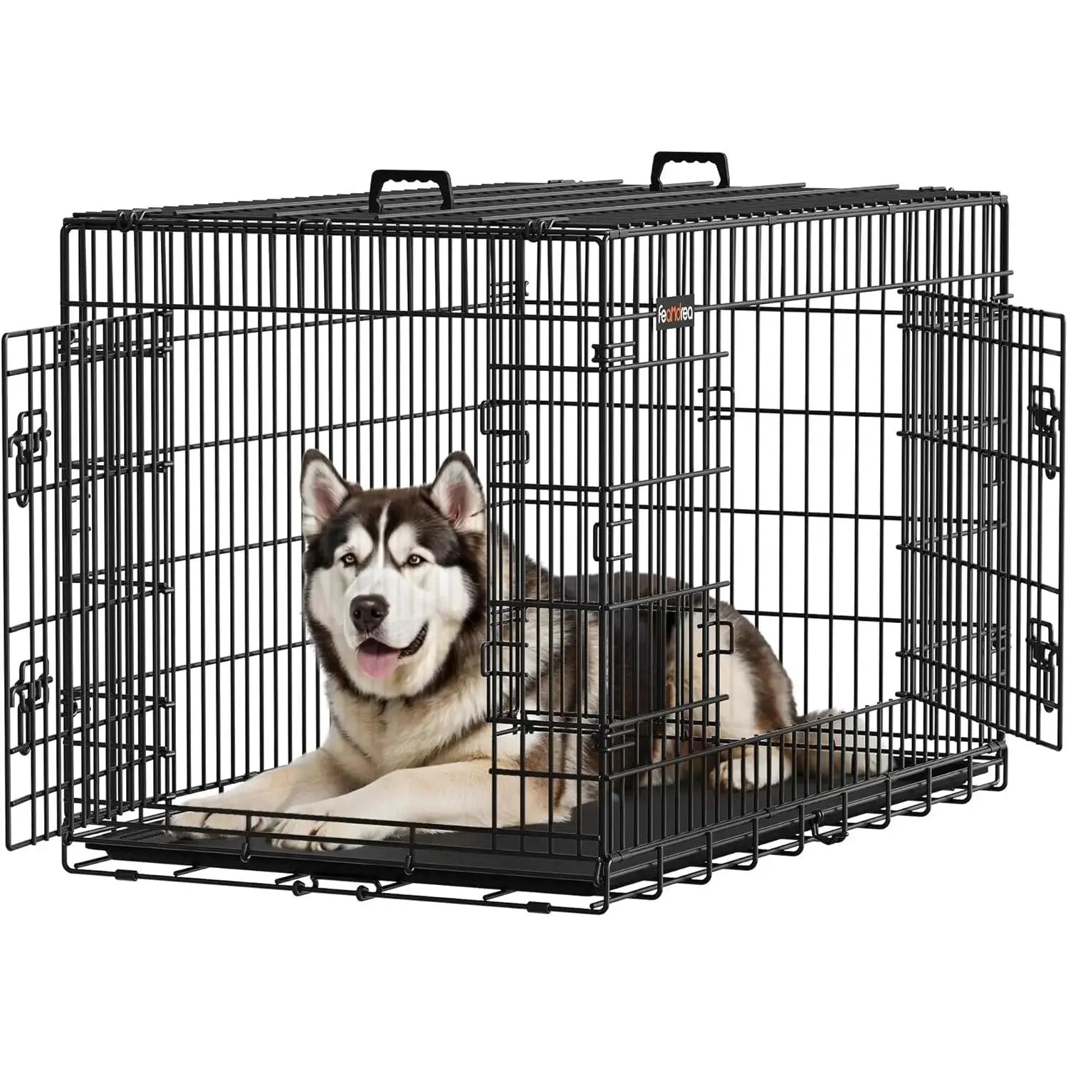 Hundekäfig XXL klappbar schwarz Kunststoff von guteszeug.ch