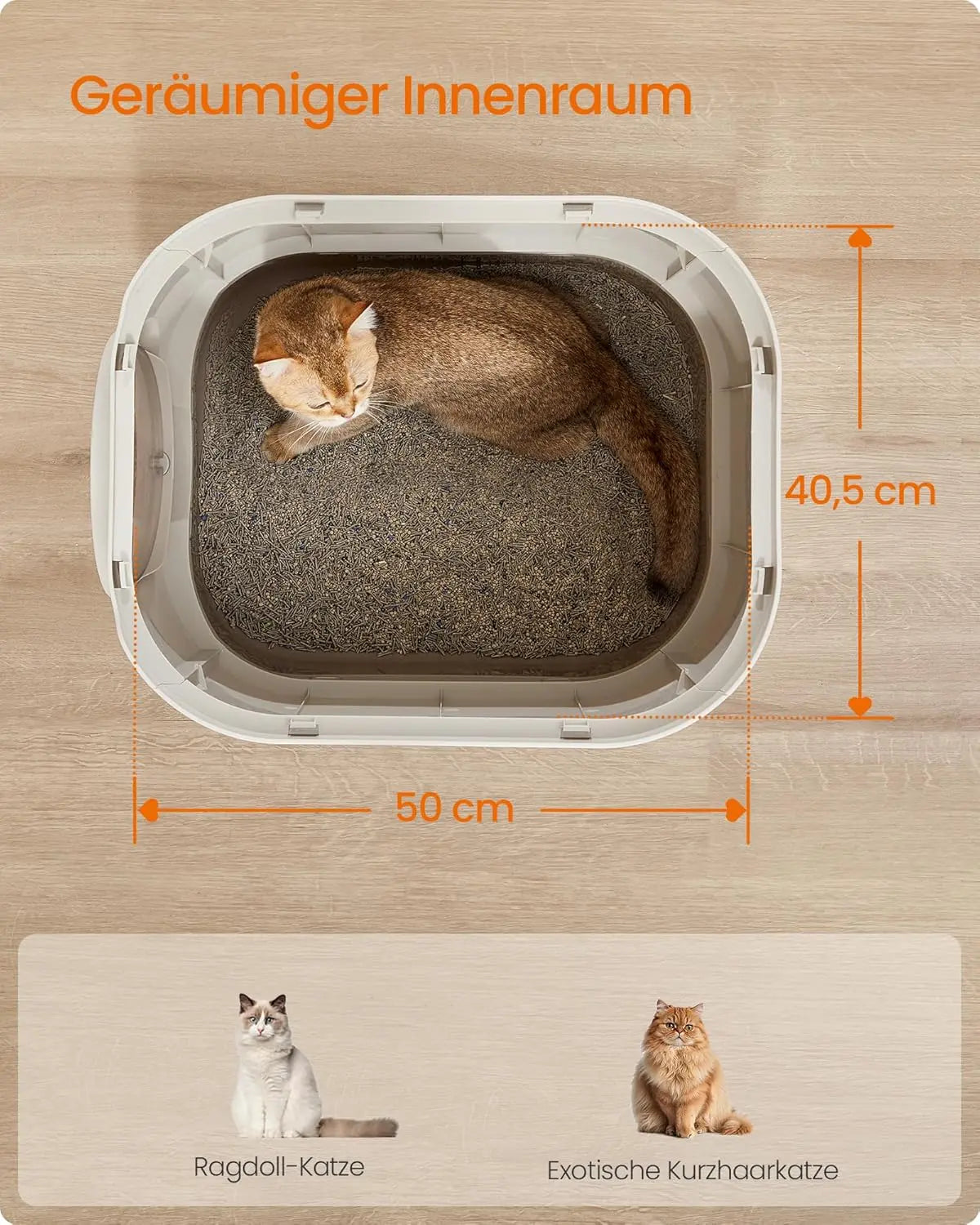 Katzentoilette XXL mit Deckel Haferflocken Kunststoff von guteszeug.ch