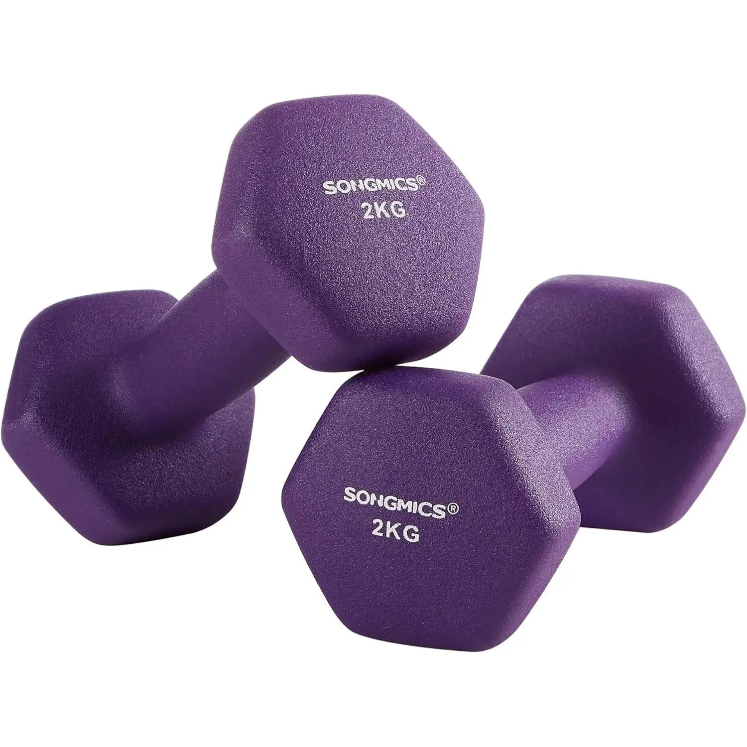 Hanteln 2x2kg Violett Gusseisen von guteszeug.ch