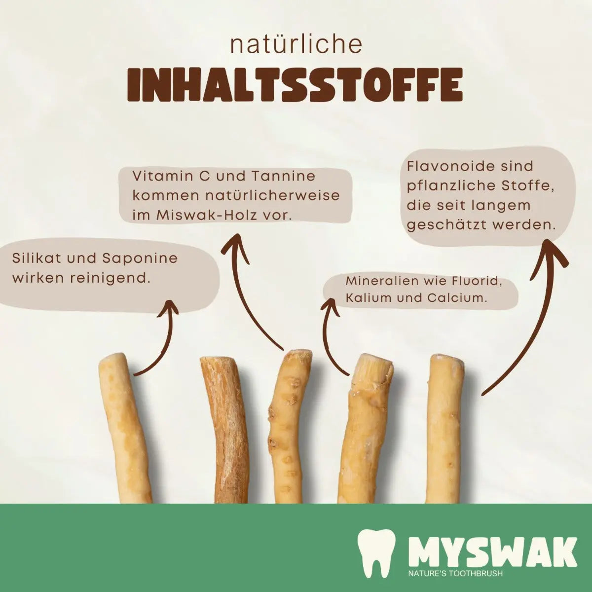 Miswak Natürliches Zahnputzholz 6 Stück von MYSWAK