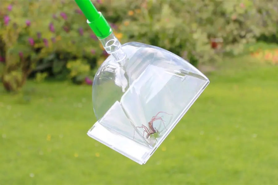 Insektenfänger Big Bug von Katcha