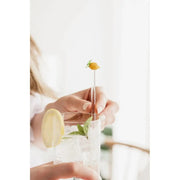 Cocktail Rührstäbchen Lemon 4er-Set von Uberstar