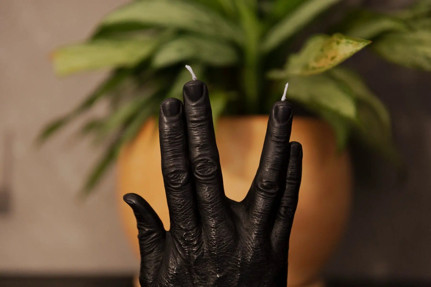 LLAP Pink von Candle Hand
