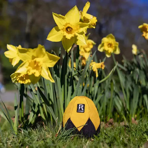 Aktivspielzeug Schnüffelei von Redoggo