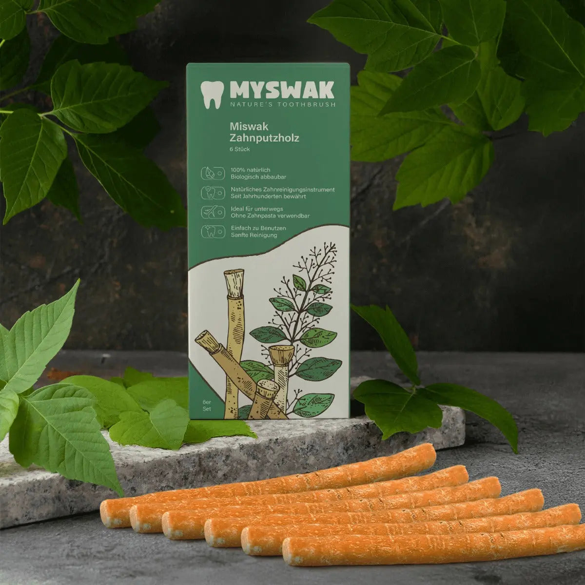 Miswak Natürliches Zahnputzholz 6 Stück