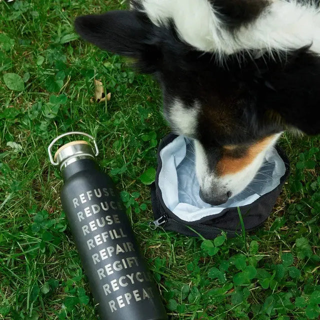 Faltbarer Hundenapf von Redoggo