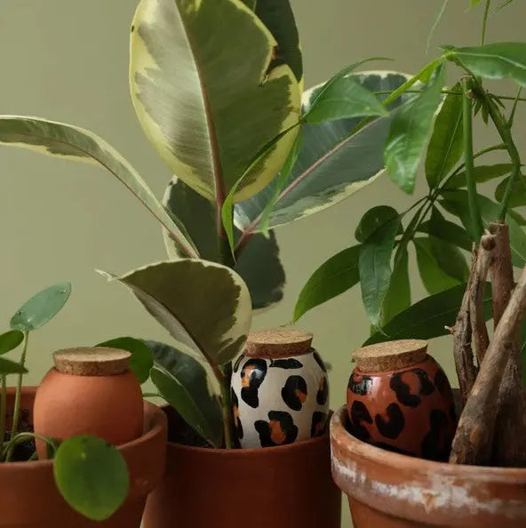 Bewässerungskegel Mini Ollas Die Leoparden 3er Set von guteszeug.ch