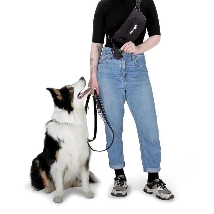 Kotbeutelspender von Redoggo