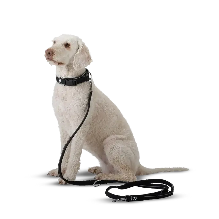 Leine von Redoggo