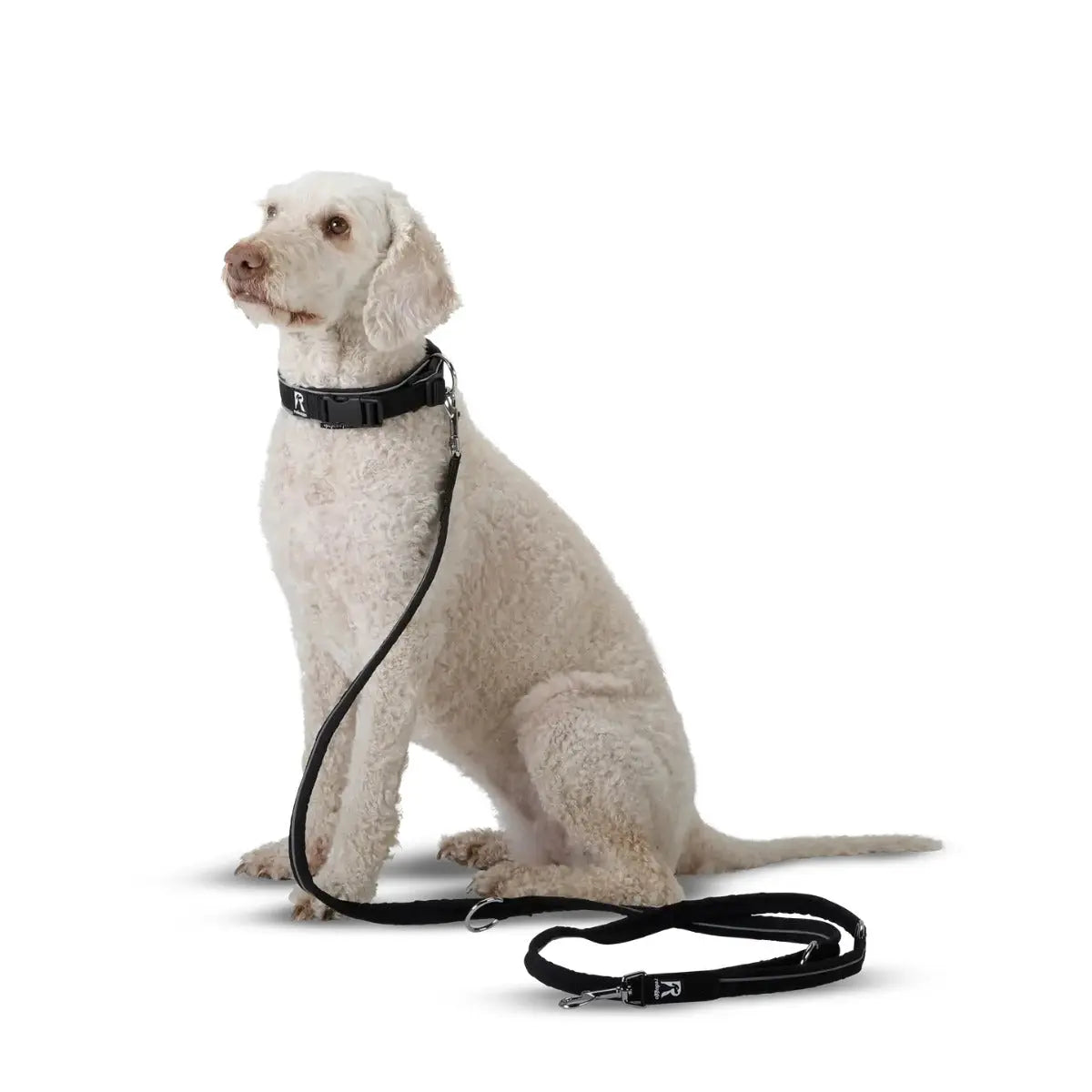 Halsband L von Redoggo