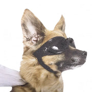 Ride With a Dog - Fenstersticker Hund von Ride with