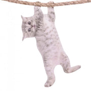 Ride With Hanging Cat - Fenstersticker Katze von Ride with