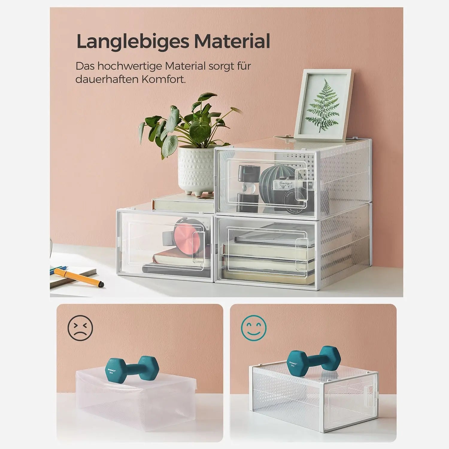 Schuhboxen stapelbar transparent Kunststoff 12er-Set von Songmics