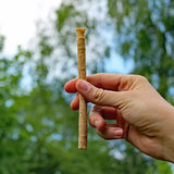 Zahnpflegeholz Miswak von Unicorn