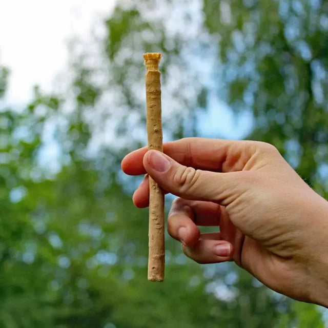 Zahnpflegeholz Miswak von Unicorn