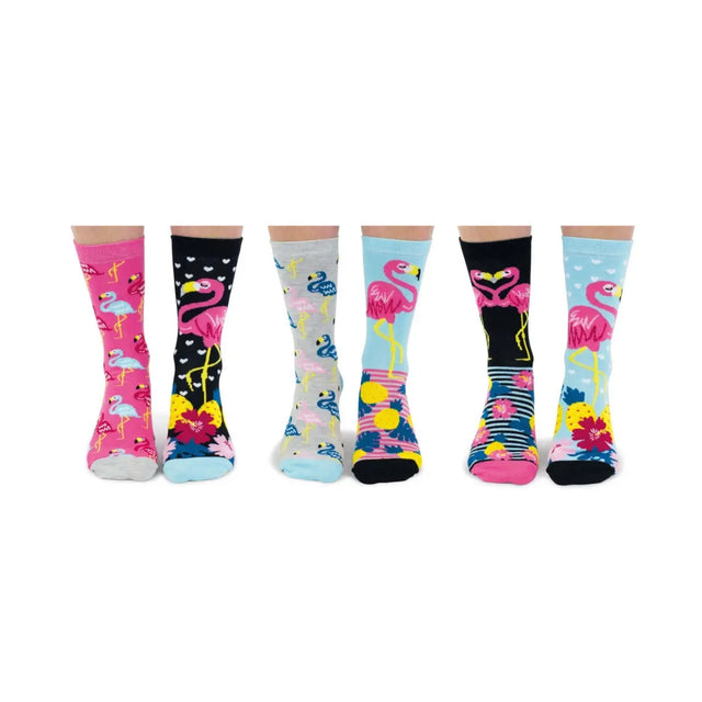 Einzelne Socken im 6er Pack, GO FLAMINGO, Gr. 37-42, mit Geschenkbox von United Oddsocks